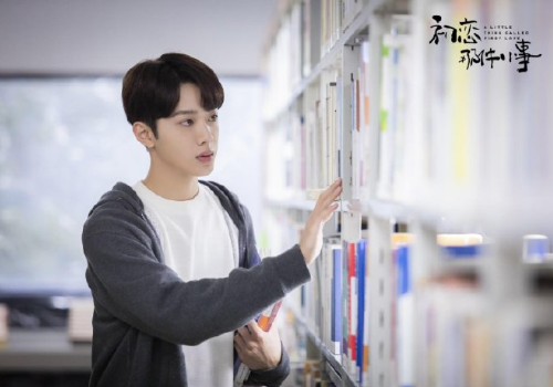 初恋那件小事林开拓和梁又年是什么关系